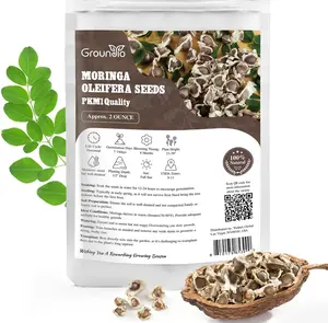 Moringa Seeds for Planting, 2 Ounce 140+ Seeds, 100% Natural Semillas de Moringa, Non- GMO | Premium PKM1 Quality| High Germination | USDA Zone 9-11