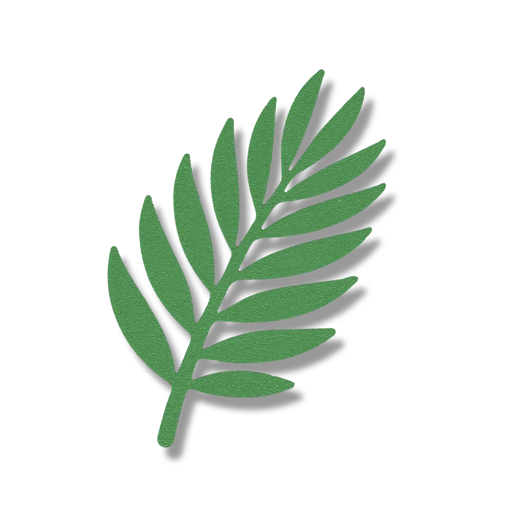 Palm Leaf