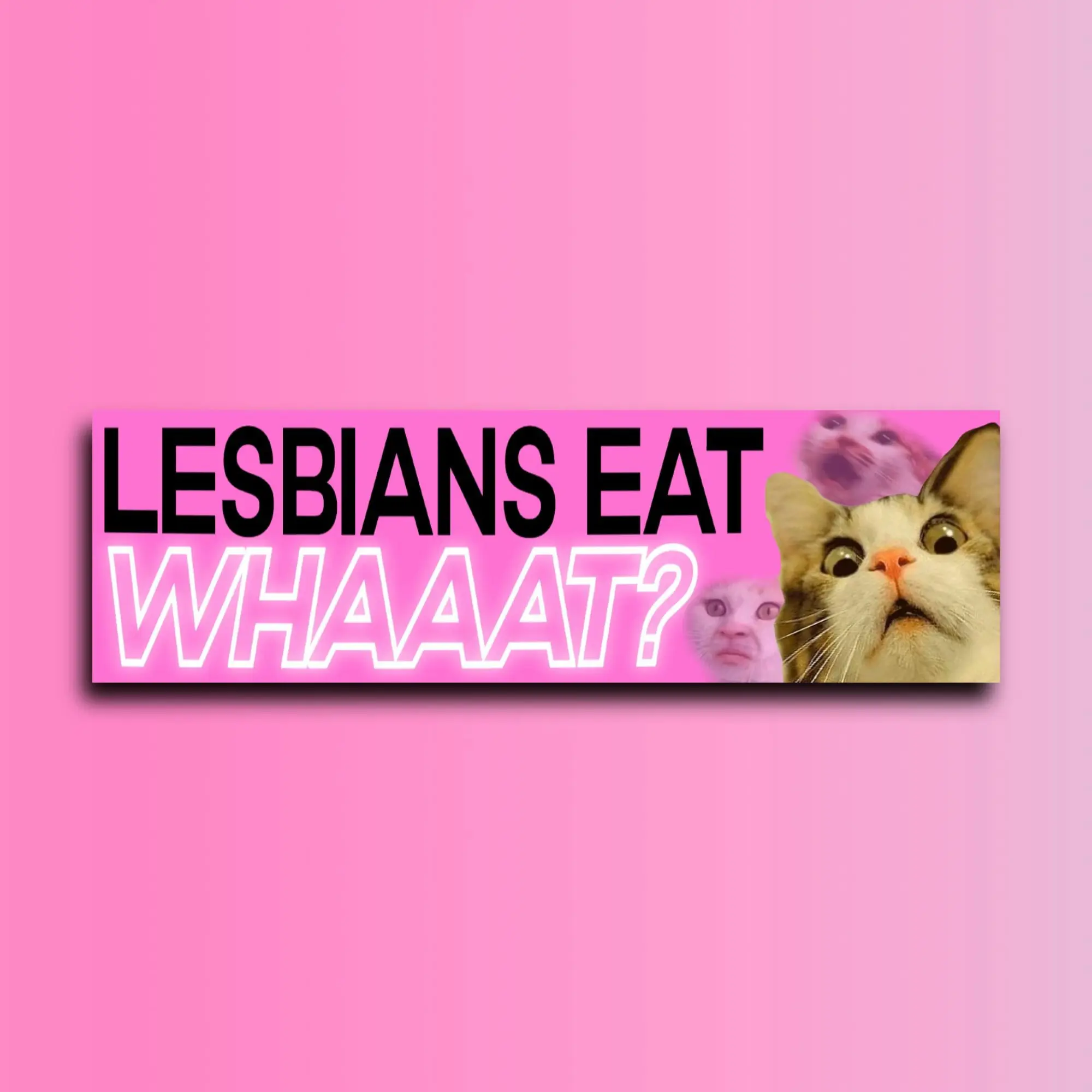 Lesbians Eat What Bumper Sticker OR Magnet | Funny Sticker | Unhinged Cat Sticker | Bumper Magnet | 8.5" x 2.5" Premium Weather-proof Vinyl