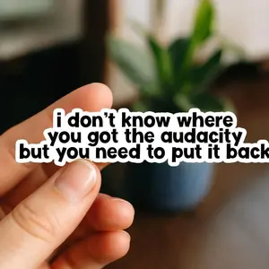 I Don't Know Where You Got the Audacity Sticker, Funny Sarcastic Sarcasm Quote Waterproof Die-Cut Stickers for Laptop, Laptop Water Bottle Decal Sticker