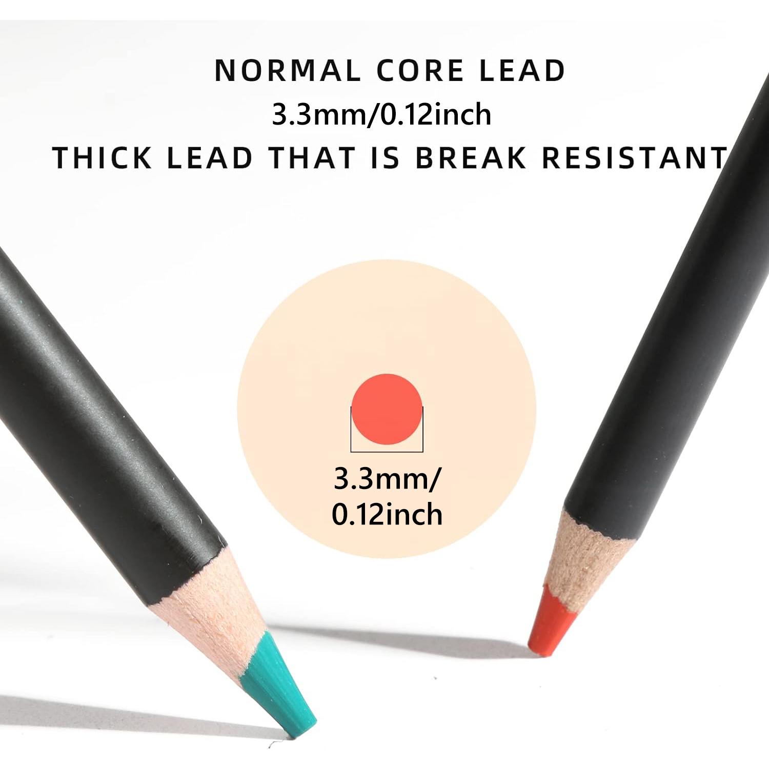 180 Colored Pencils Set, Oil-Based Soft Core Art Supplies with Zipper Case, Coloring Pencils, Art Supplies Sketching Kits, Professional Artist Drawing Pencils for Artists, Adult