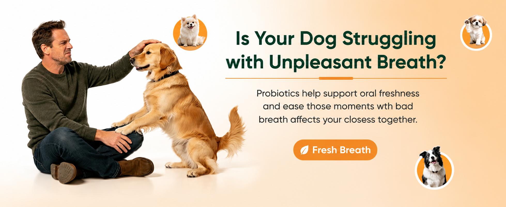 180ct Probiotics & Prebiotics for Dogs and Cats, 4-Strain Gut Health Soft Chews with a Triple Prebiotic Blend of FOS, GOS and Organic Inulin, Chicken Flavor