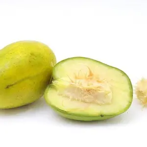 Ciruela Jobo TREE 2-3 ft Frut tree
