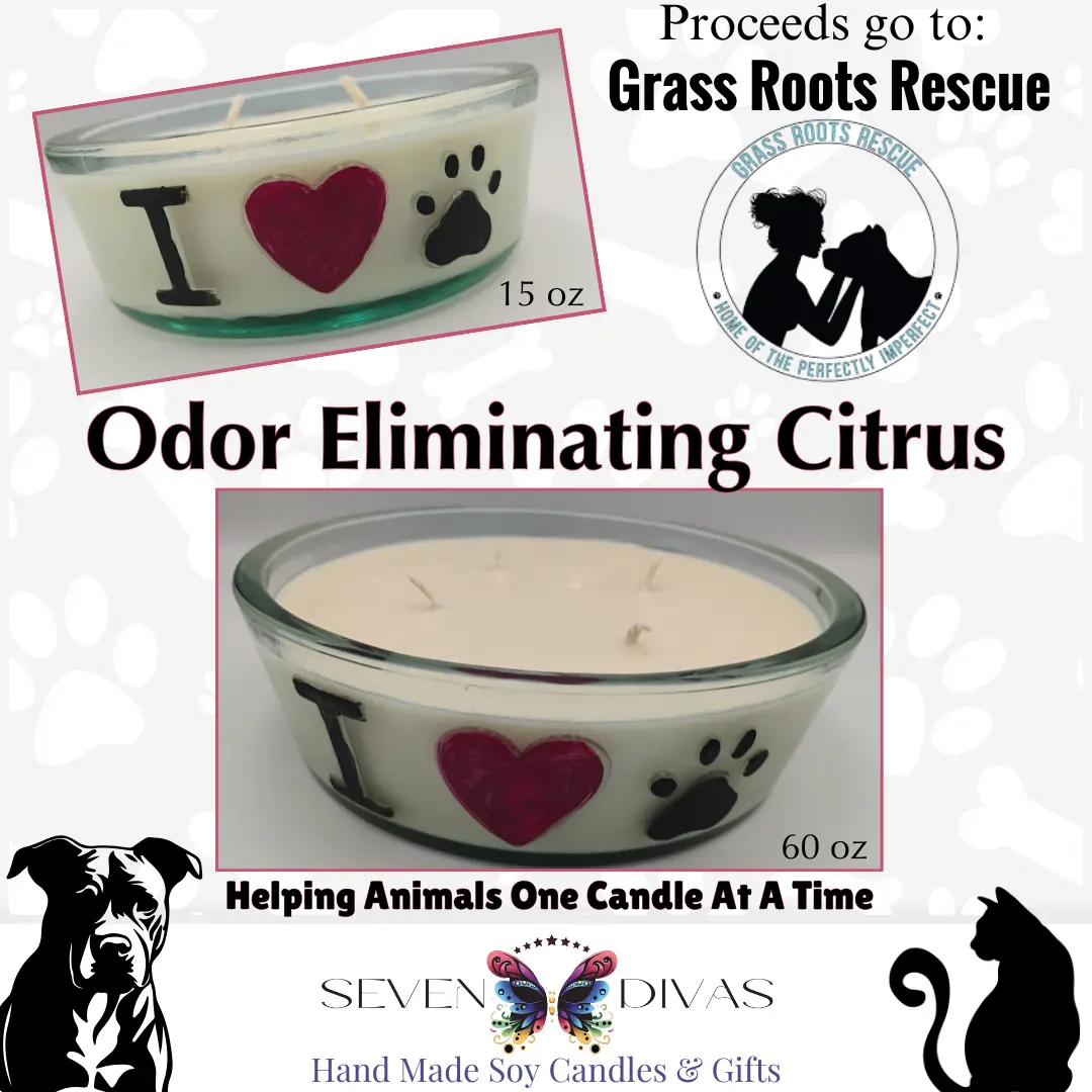 I Heart Paws Candle-GRR Donation