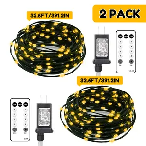 echosari Fairy String Lights Plug in, 2 Pack 100 LED Starry Twinkle Lights with Remote & 8 Modes Timer, IP68 Waterproof, Available in Green or Clear Wire for Bedroom, Garden, Christmas & Holiday Decor