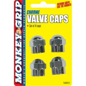 Bell Automotive Products 22-5-08837-M 4 Pack Chrome Hex Valved Cap