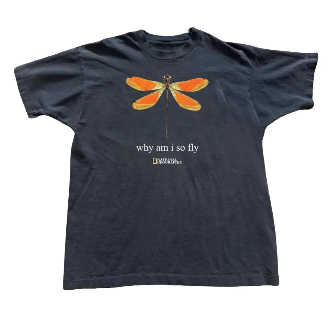 Gildan Men's and Women's T-shirt, National Geographic dragonfly graphic tee - GILDAN Reprinted shirt, Animal tee, Y2k Unisex Graphic Tees Gothic Grunge Emo Scene Amity Affliction Style Clothes Menswear Womenswear Streetwear