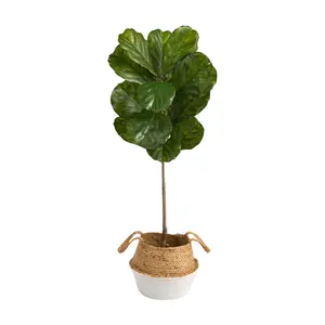 4' Fiddle Leaf in Boho Chic Woven Planter by Ne arly Natural