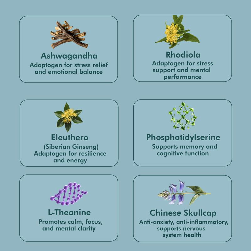 ZenAdren | Premium Ashwagandha + L-Theanine Six Ingredient Blend | Pharmaceutical-Grade for Adrenal Support & Mental Acuity