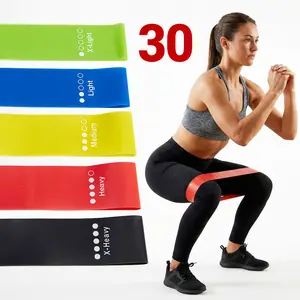 Gaomon-Resistance Band Set, 20/30 Count Yoga Pilates Elastic Bands, Fitness Stretch Bands for Leg Arm Strength Training, Workout Equipment for Team Training & Participant Gifts