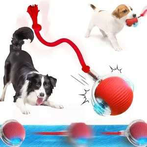 New Cat Interactive Ball Toy,Automatic Rolling Cat Ball Rechargeable,Smart Kitten Interactive Toy,Intelligent Balls Toy for Cat
