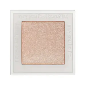 Pretty Shady Single Shadow and Highlighter