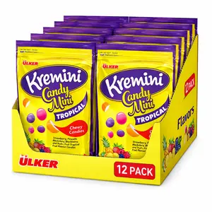 Tropical Fruit Chews Candy – 12 Pack Soft Chewy Fruit Candy Assortment, 12.7 oz (360 g) (1.06 oz each)