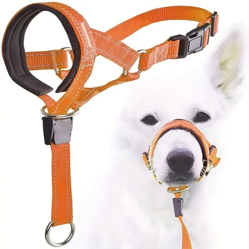Mesh Fabric Dog Hands-Free Leash with Chew-Resistant Anti-Bite Muzzle, Pet Walking Lead for Dogs