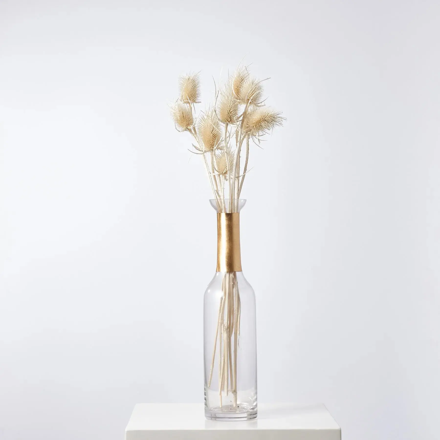 6-Stem Naturally Bleached Dried Chardon Thistle Pods Bouquet, Dry Flowers Decor for Home Table Vase Decorations