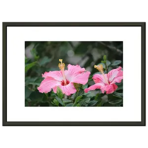 Hibiscus Wall Art