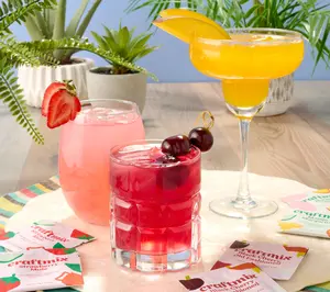 Craftmix 18-count Instant Craft Cocktail Mixers