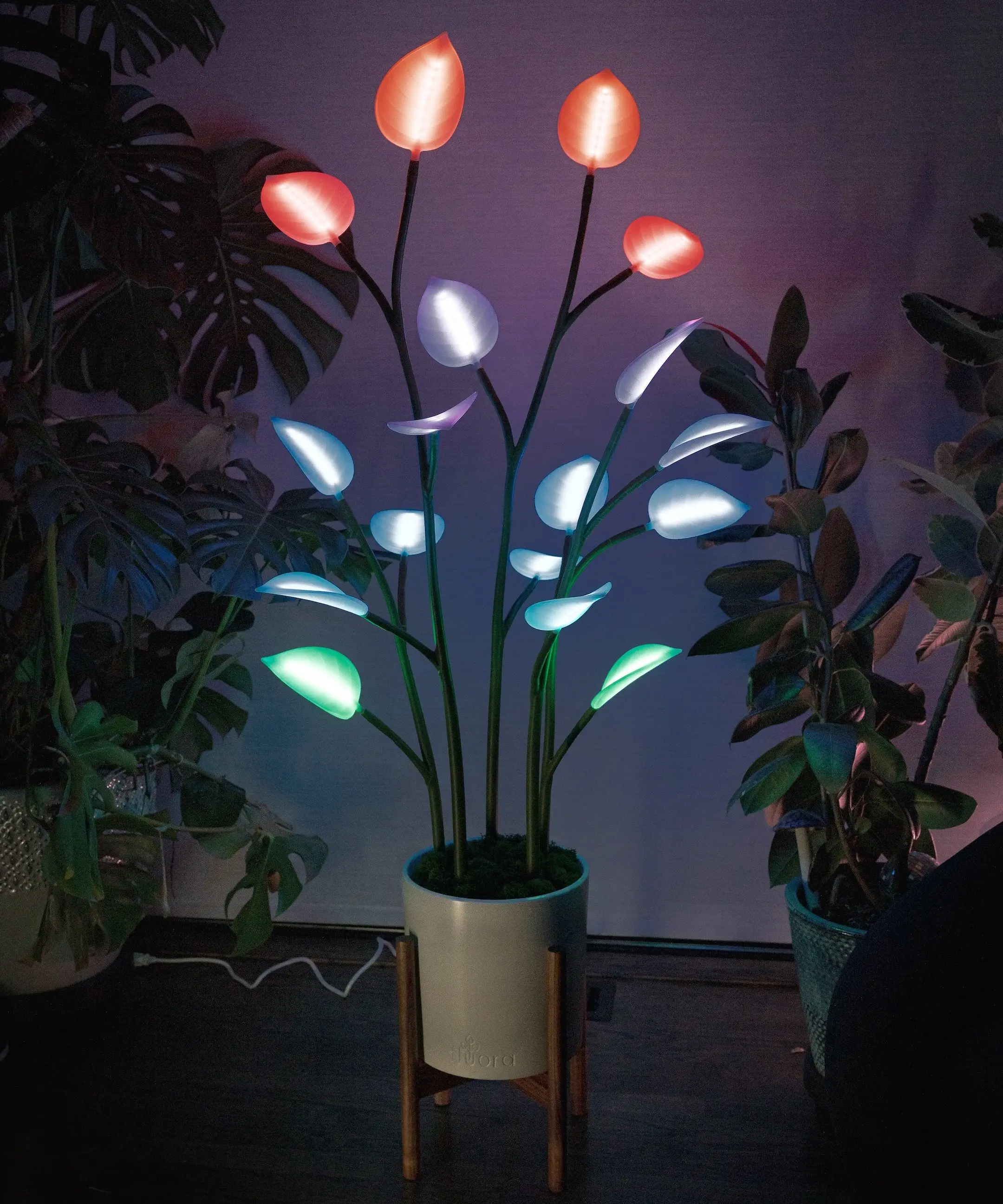 Fluora Floor Plant