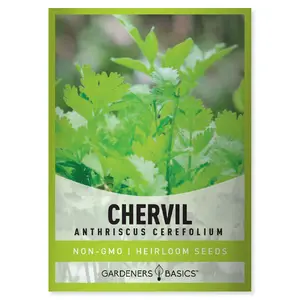 Chervil Seeds