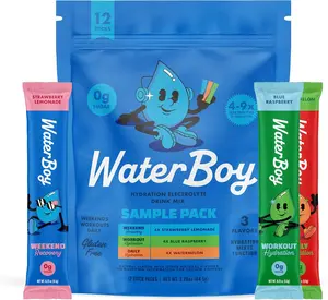 Waterboy Hydration Recovery Variety | 4-9x Electrolyte Powder Packets | Ginger + L-Theanine + L-Glutamine + Vitamins | No Sugar, All Natural, Gluten Free | 12 Drink Stick Mixes (Variety Pack)