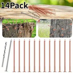 12 Pack 3.5 Inch Copper Nails Nail Spikes for Killing Tree, Long Stump Removal Spikes with 2 Pieces Large Steel Nails Garden Stakes decoration supply