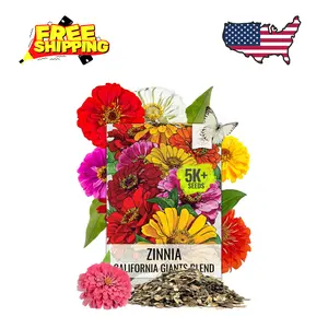 Zinnia Seeds California Giants Variety | 5,000+ Heirloom Seeds