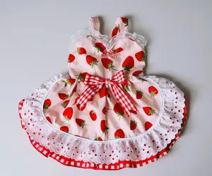 Adorable Red Gingham Strawberry Print Dog Dress with White Eyelet Ruffled Skirt & Heart-Shaped Bodice for Special Occasions Summer Style