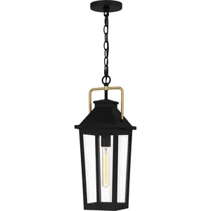 Buckley One Light Outdoor Hanging Lantern Matte Black