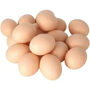 20 PCS Plastic Fake Eggs for DIY Easter Eggs, Painting and Realistic Egg
