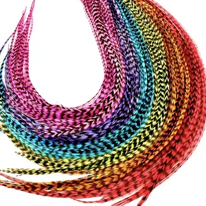 Grizzly 50 Rainbow Color Hair Feathers - 9”-14” Long - 50 Micro-link Beads - Eye-Catching Design - 100% Real Rooster Feathers for Hair Extension