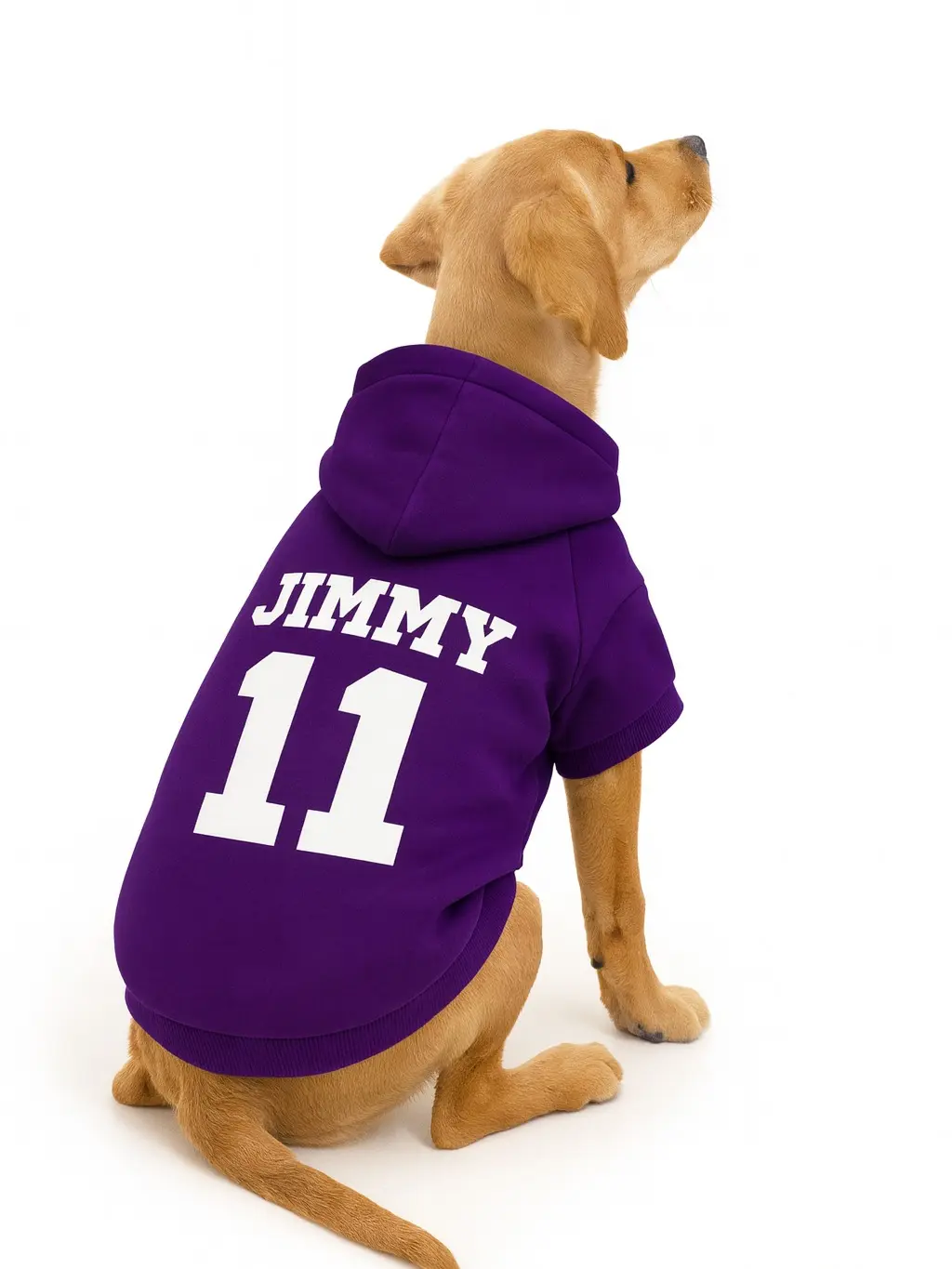 Personalized Jersey-Style Pet Pullover Hoodie - Custom Name & Number, 50/50 Poly-Cotton Blend, Easy Care Machine Wash Inside Out, Dog & Cat Sweater, Unique Gift for Daily Walks, Family Photos, Fabric, Pullover Hoodie Design