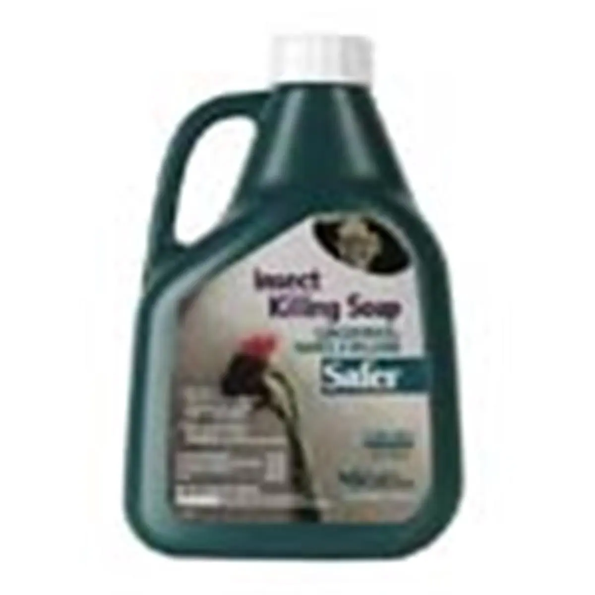 Woodstream Lawn & Grdn D Insect Soap Concentrate 16 Ounces - 5118