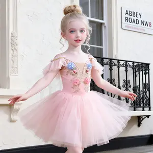 Children's Dance Ballet Dress Elegant Floral Embroidery Design Tulle Ruffle Sleeve Leotard Dress Princess Dress Birthday Party Dress Dance Costume