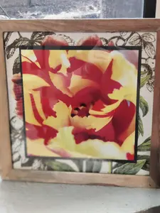 12x12 Framed Print