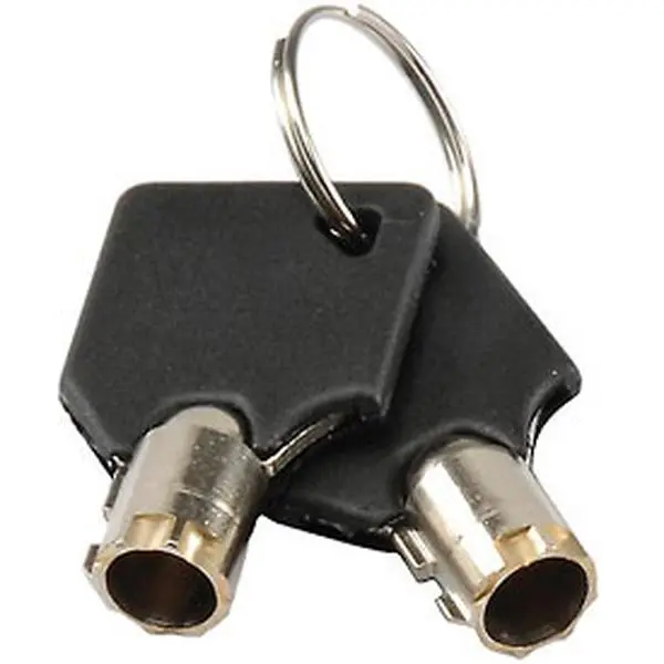 Global Industries RP9053 Lightweight Replacement Mailbox Access Keys (2), 0.03 lbs, Compatible with Inter Office Mailboxes 443490-443491, for Personal Use