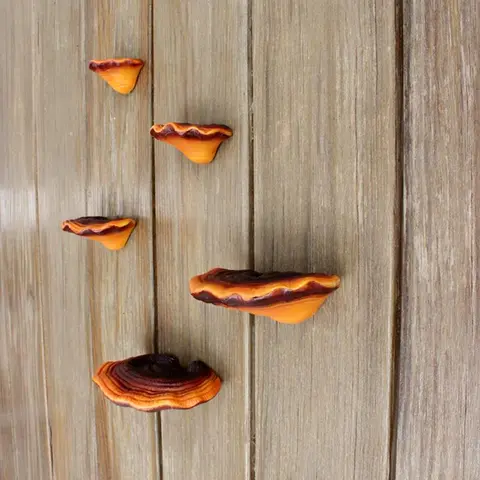 Creative Lingzhi Shaped Tree Hanging (5 Counts/set), Mushroom Design Garden Tree Decorative Ornaments, Garden Decor Ideas, Garden Accessories, Home Decor Supplies, Wood Decor, Outdoor, Garden Sculptures Statues