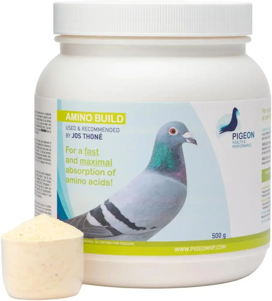 GENERIC PHP Plastic Bird Healthcare Protein Powder Supplement (500g, Single Item) - High-Quality Proteins, BCAA Blend, Fructose-Derived Carbohydrates for Muscle Support, Racing Performance Enhancement
