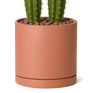 Large 10 Inch Terracotta  Pot with Drainage Hole and Saucer, Round Cylinder Planter Pot for Indoor , 40-X-A-5