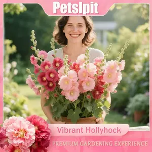 PetalPit Heirloom Non-GMO Hollyhock Seeds (500PCS+), Colorful Tall Blooms, Germinate or Refund Promise, Ideal for Fences, Borders, Cottage Garden Grass, Garden Supplies