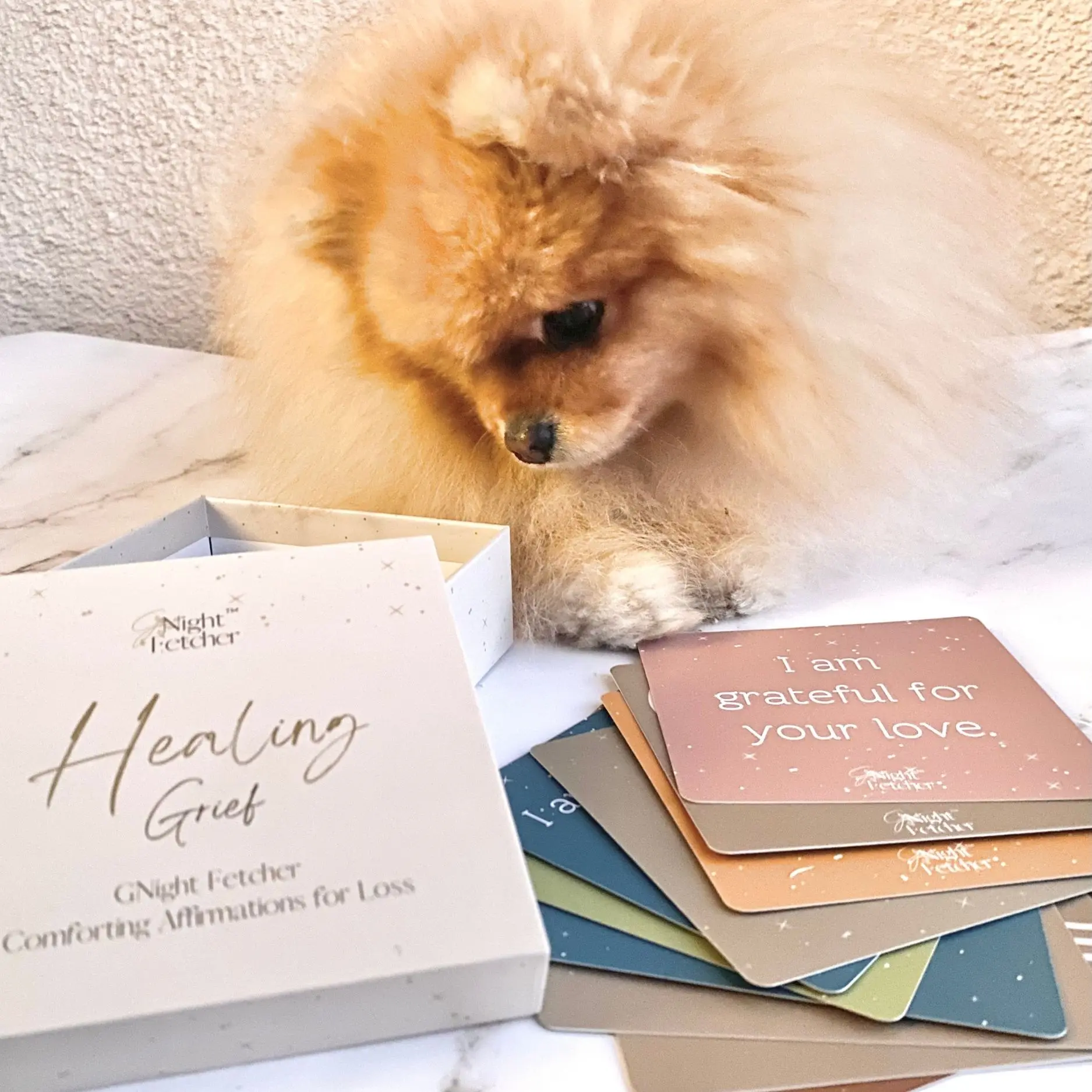 Grief Affirmation Cards for Pet Loss - 51 unique Sympathy Messages