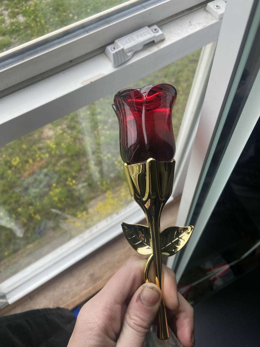 Item: Clear, one-size