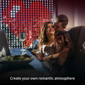 1Pc Bedroom LED Curtain Light, Fairy Christmas Lights, Upgraded Version 400 Lamp Beads, Support Dynamic Graffiti and Text Editing, Suitable for Garden, Shrub, Courtyard Decoration, Birthday Party, School Season, Graduation Season Decoration Gifts