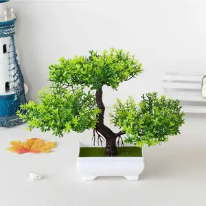 Zen Bonsai Potted Plant