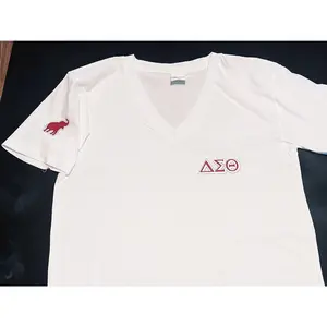 Delta Sigma Theta Summer V-Neck Shirt