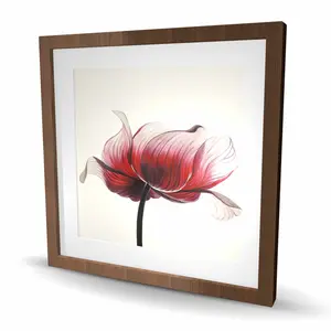 Begin Home Decor C1FM24247NO3OG 24 x 24 in. Anemone Flower Print - Floral Living Room Decor Wall Art - Framed Art