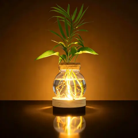 Plant Propagation Station with Light,Valentines Day Glass Terrarium with Stepless Dimming Function Hydroponic Glass Container Vase Jars Gardening Gifts for Mom Women Plant Lovers