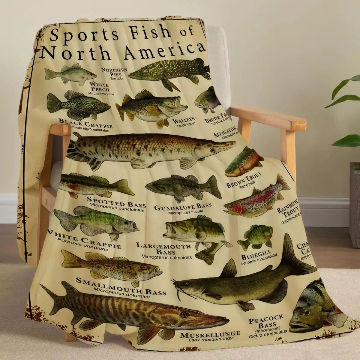 Flannel Sport Fish Print Throw Blanket Super Soft Cozy Nap Blanket for Bed sofa Office Travel Machine Washable Perfect Home Gift