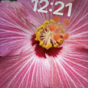 review image 10