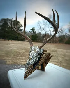 Arkansas Arrowhead Pedestal