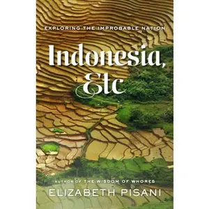 USED-Indonesia, Etc.: Exploring the Improbable Nation by Elizabeth Pisani (Hardcover)